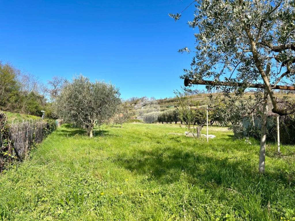 immagine annuncio 3 di 9