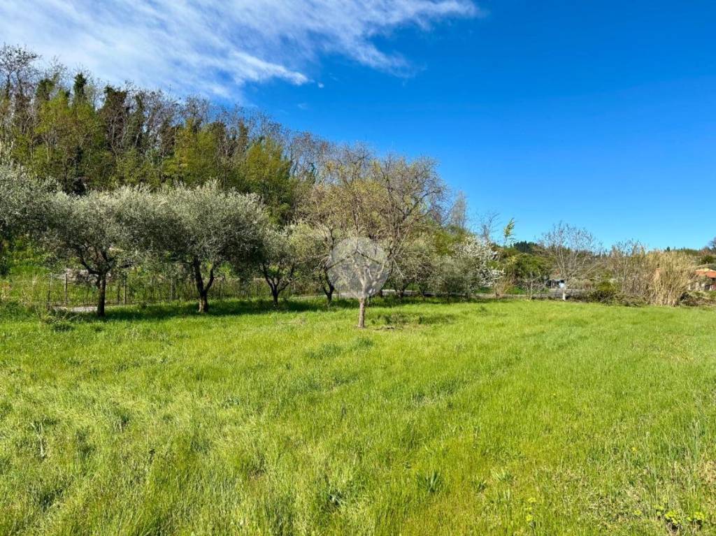 immagine annuncio 4 di 9