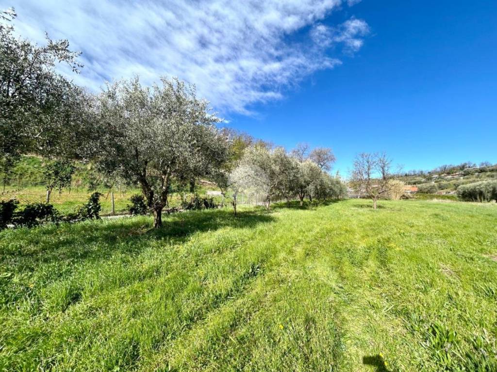 immagine annuncio 5 di 9