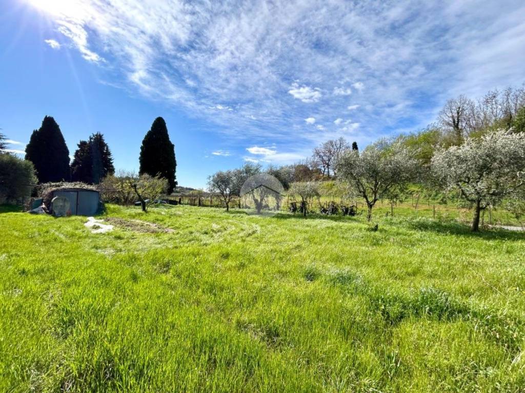 immagine annuncio 6 di 9