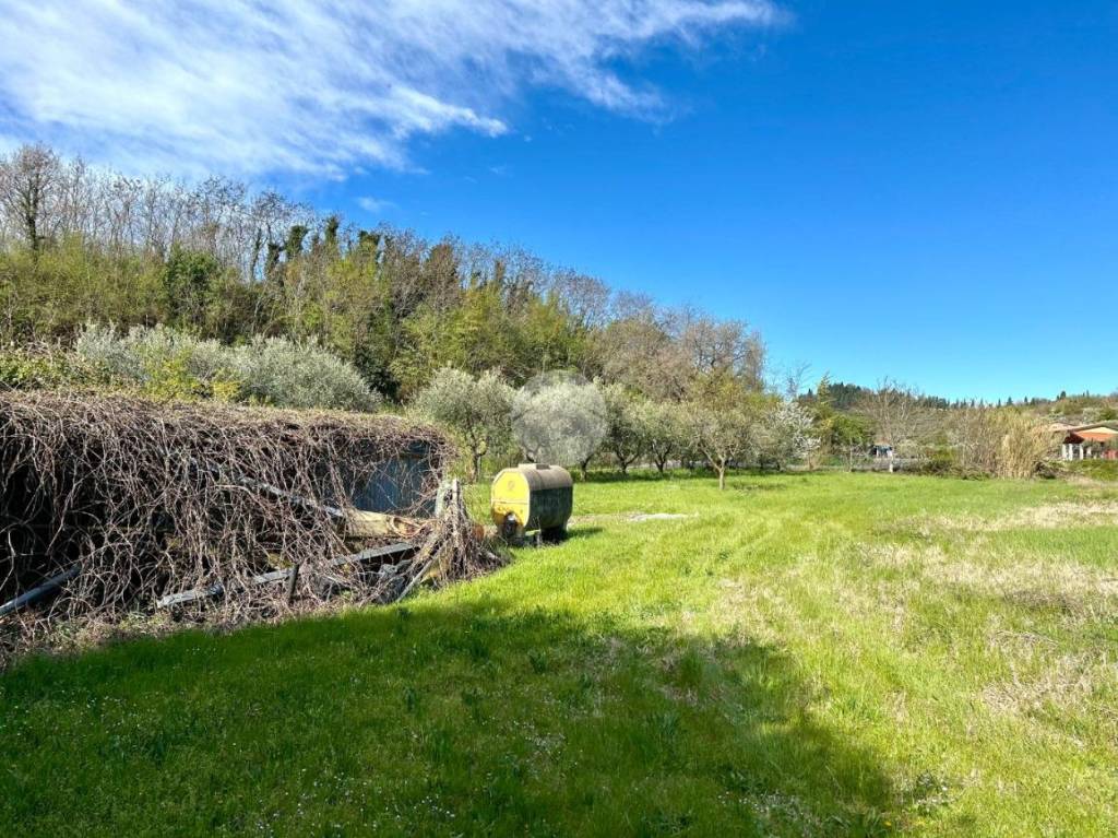 immagine annuncio 7 di 9