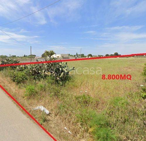 immagine annuncio 2 di 12