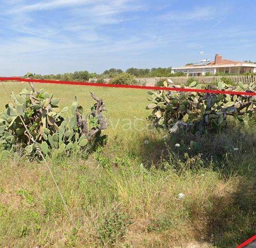 immagine annuncio 3 di 12