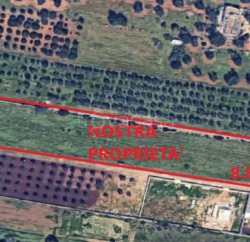 immagine annuncio 4 di 12