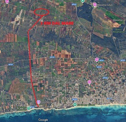 immagine annuncio 4 di 9