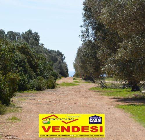 immagine annuncio 2 di 14