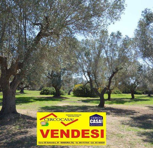 immagine annuncio 6 di 14