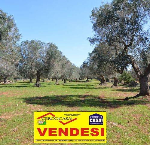 immagine annuncio 7 di 14