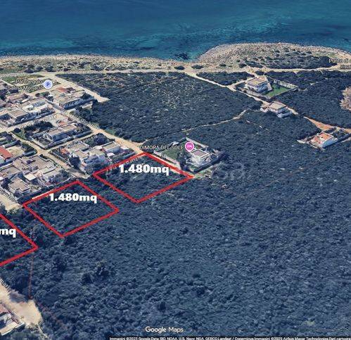 immagine annuncio 11 di 15