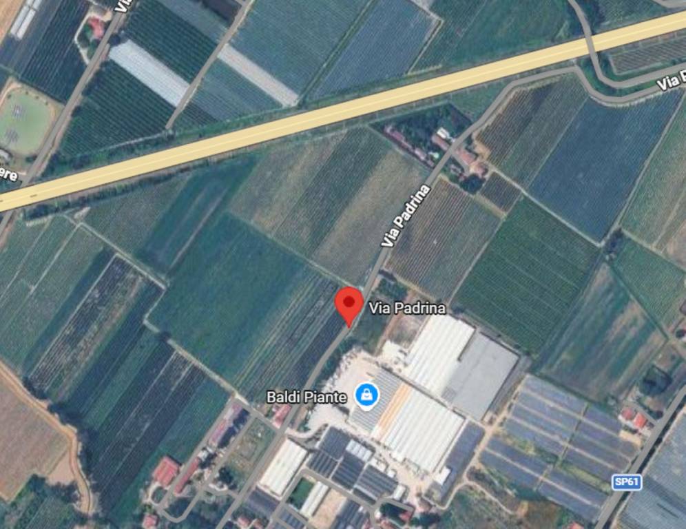 immagine annuncio 2 di 11