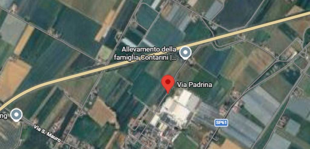 immagine annuncio 3 di 11