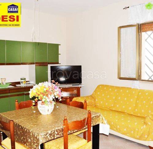 immagine annuncio 6 di 15