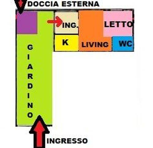 immagine annuncio 12 di 13