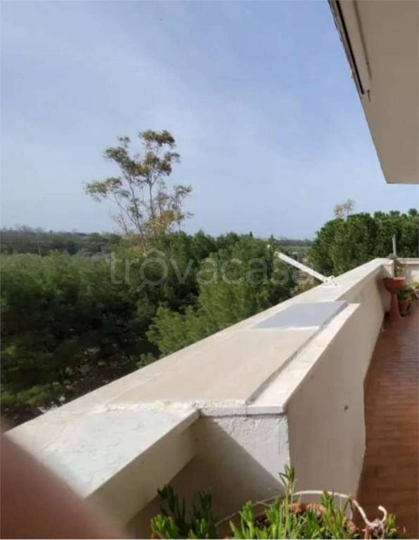 immagine annuncio 6 di 12