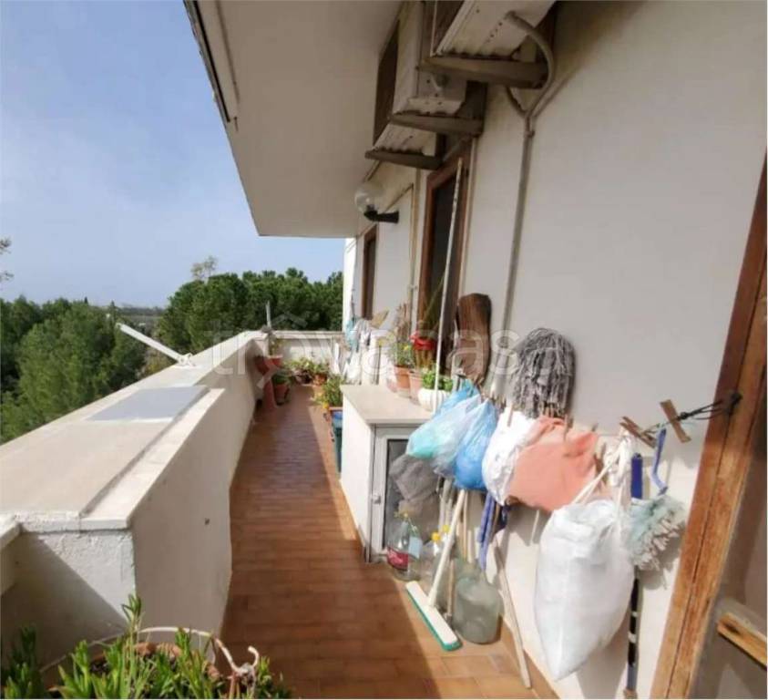 immagine annuncio 7 di 12