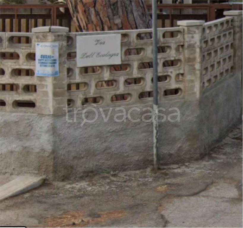 immagine annuncio 11 di 12