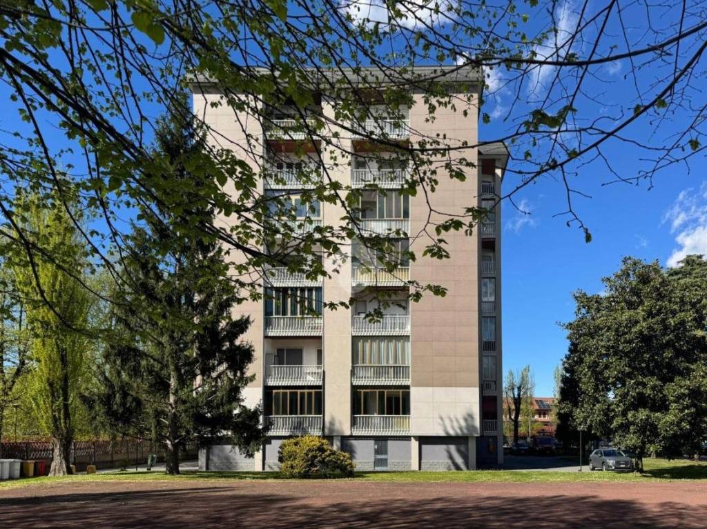 immagine annuncio 1 di 15