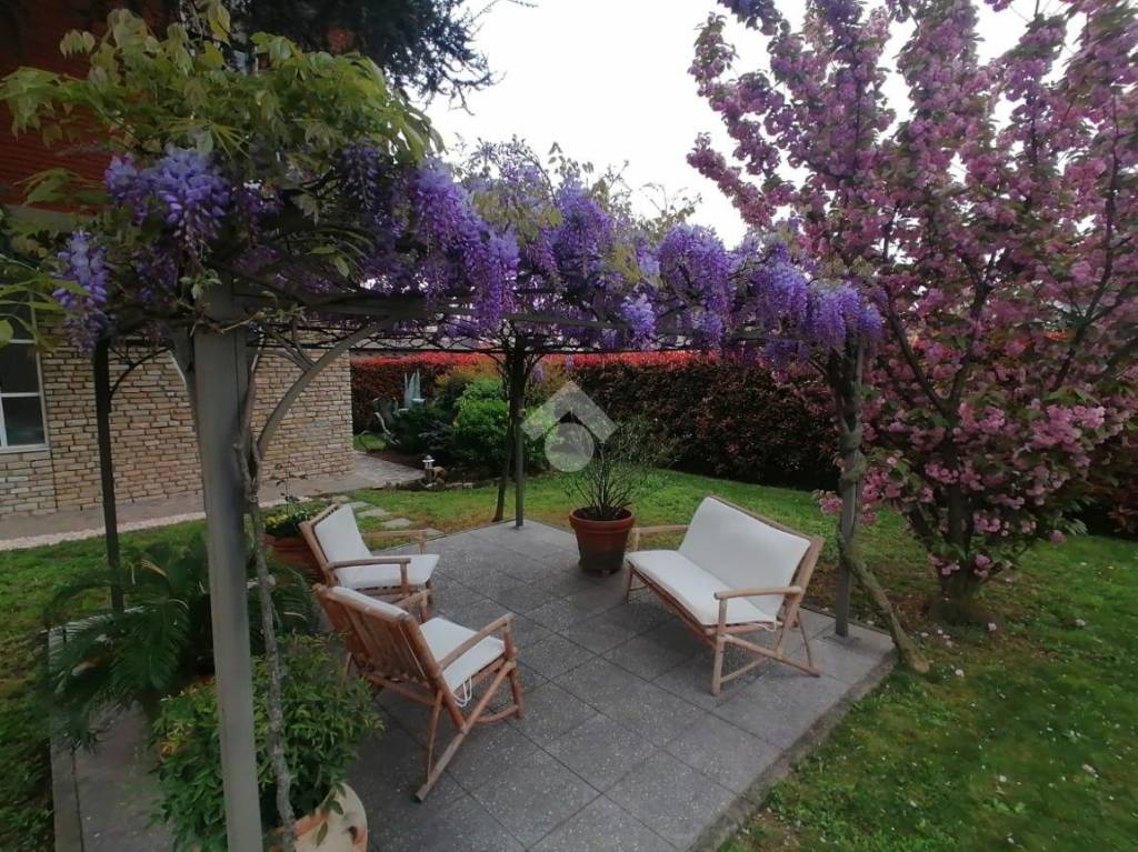 immagine annuncio 4 di 15