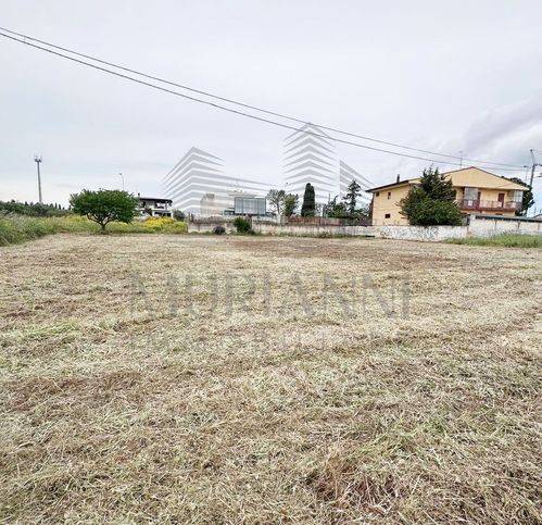 immagine annuncio 2 di 7