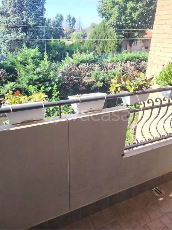 immagine annuncio 1 di 9