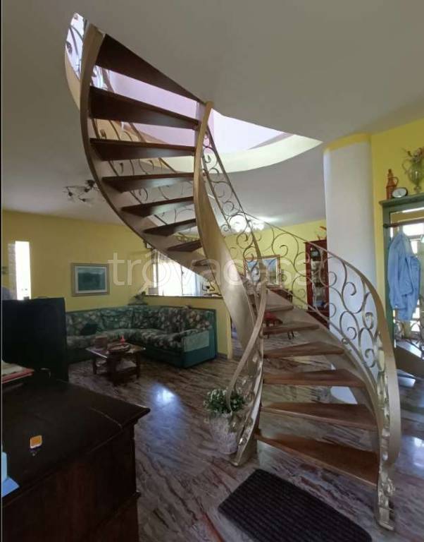 immagine annuncio 5 di 13