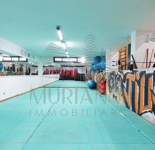 immagine annuncio 3 di 8