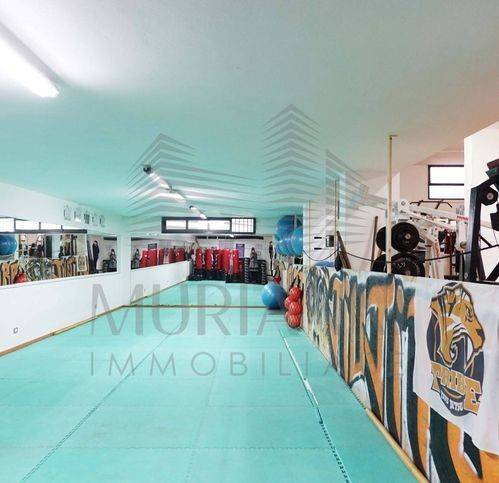 immagine annuncio 4 di 8