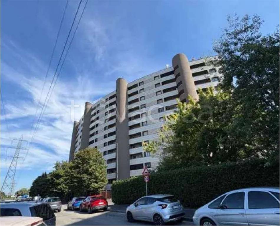 immagine annuncio 7 di 14