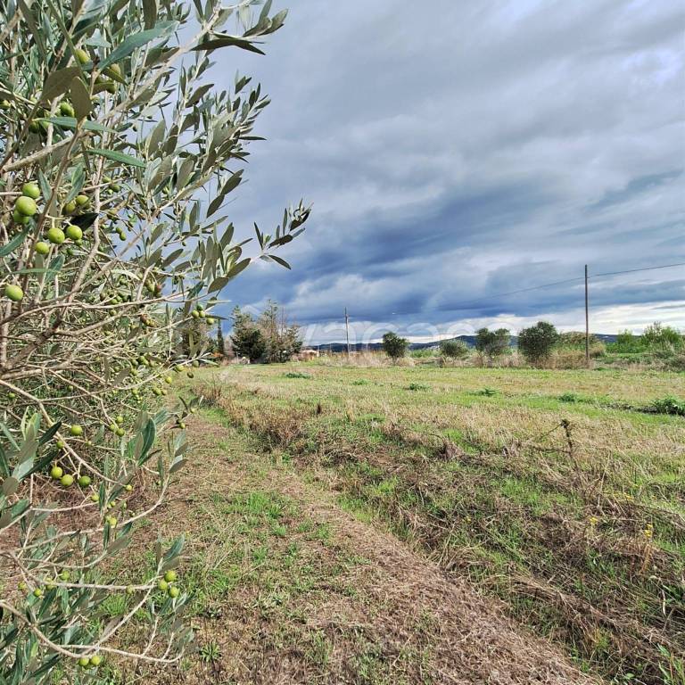 immagine annuncio 11 di 14