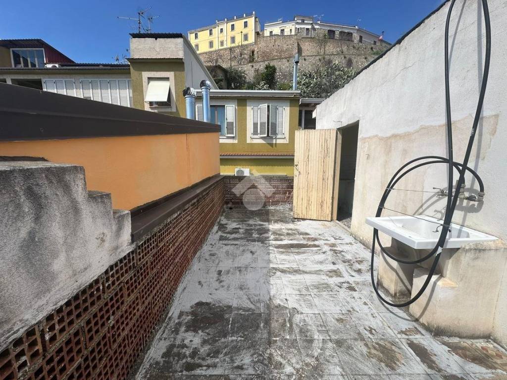 immagine annuncio 6 di 14