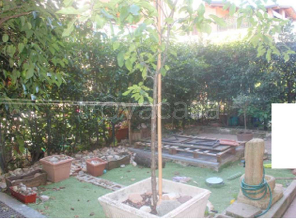 immagine annuncio 10 di 11