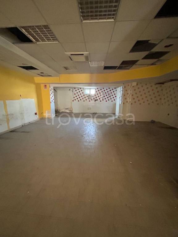 immagine annuncio 5 di 9