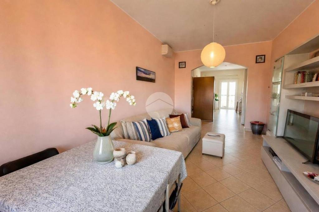 immagine annuncio 6 di 12