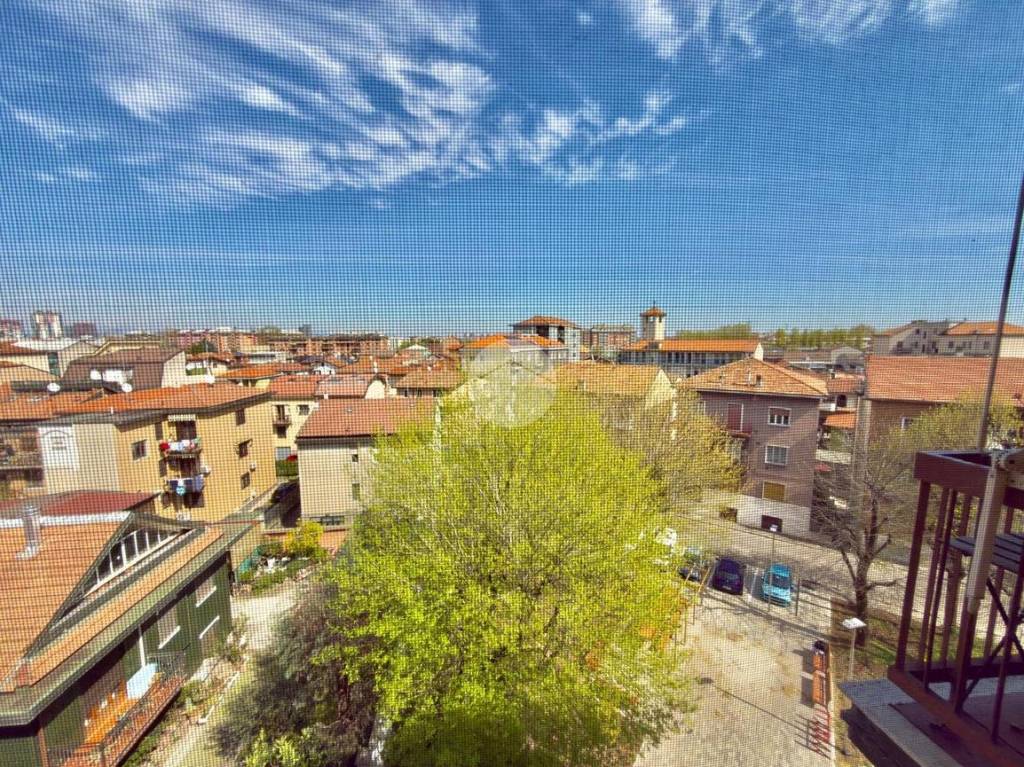 immagine annuncio 11 di 12