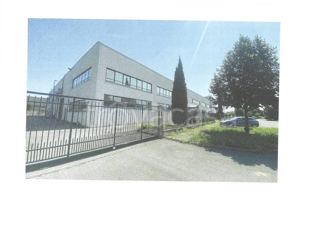 immagine annuncio 4 di 10