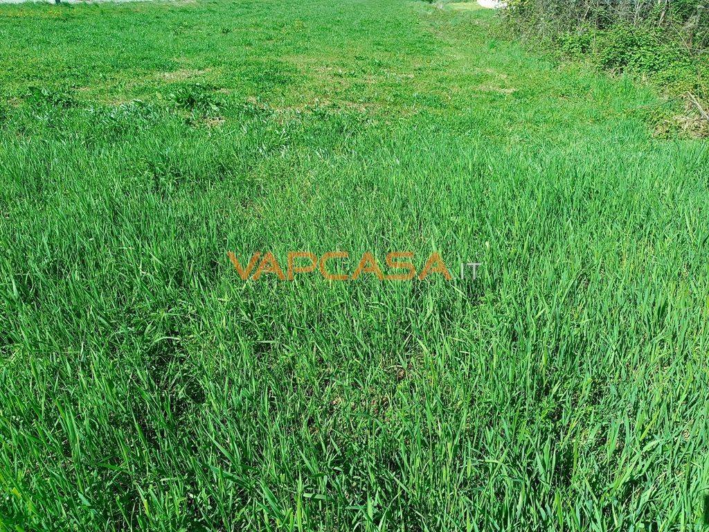 immagine annuncio 2 di 9