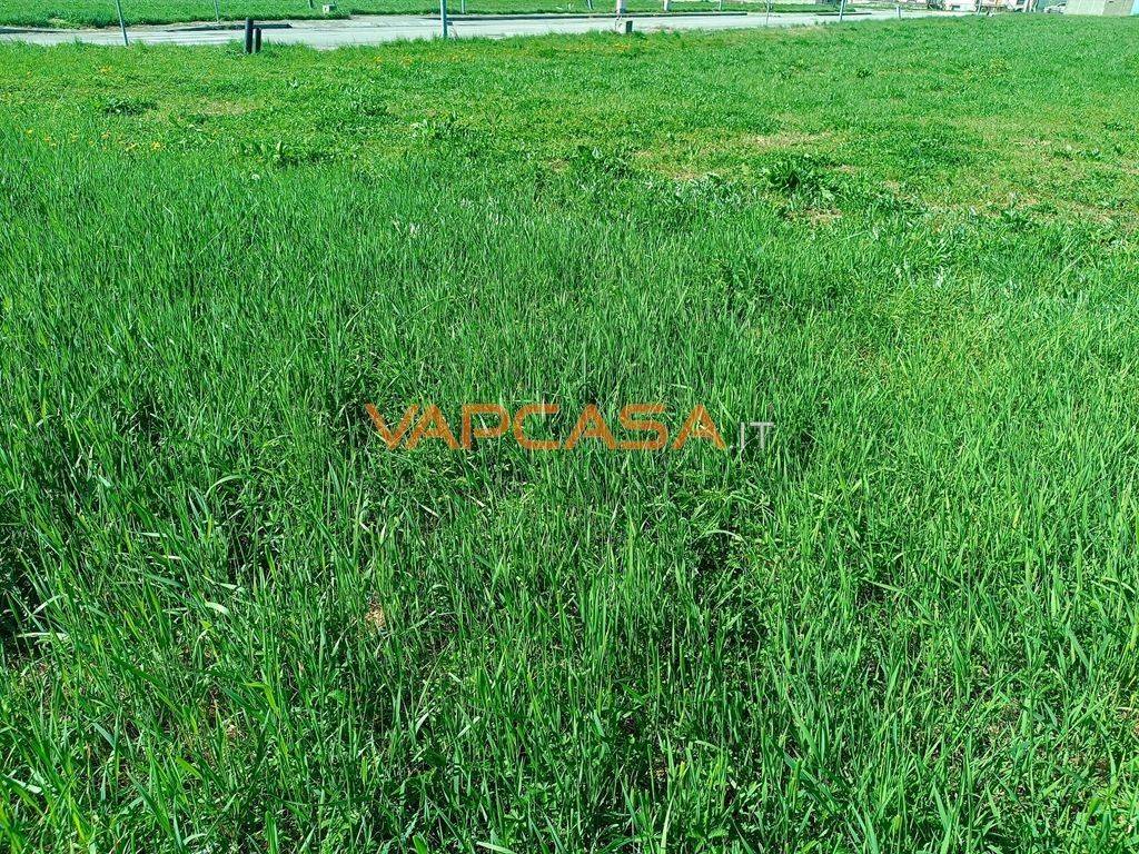 immagine annuncio 4 di 9