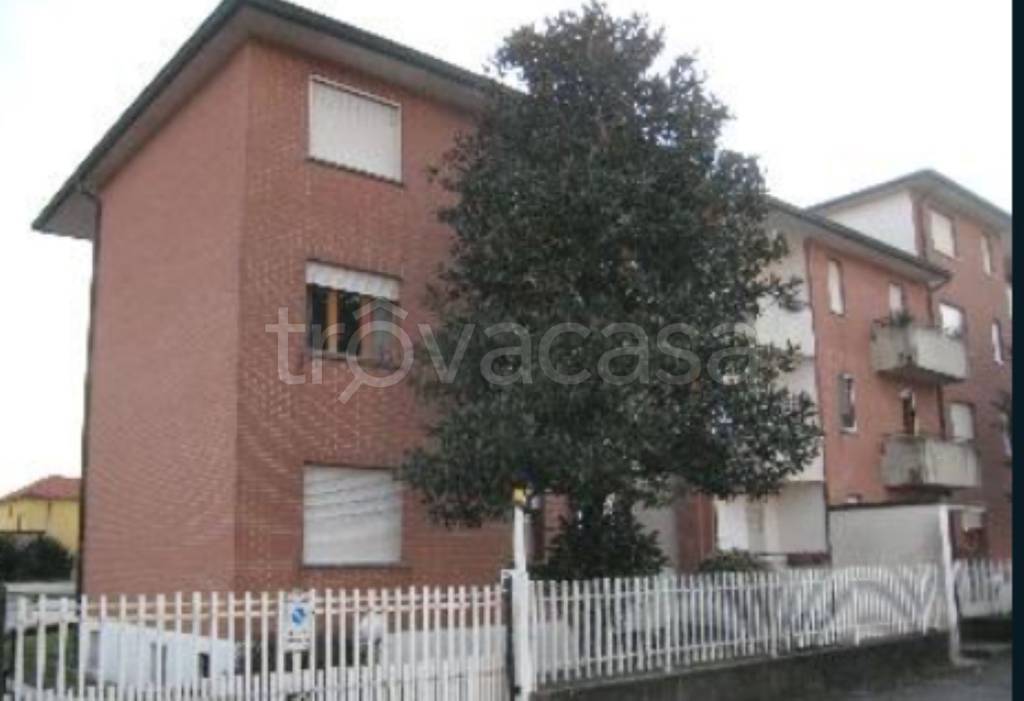 immagine annuncio 1 di 12