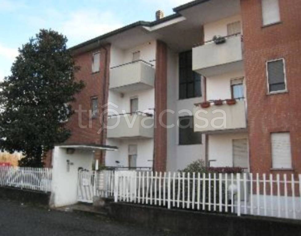 immagine annuncio 2 di 12