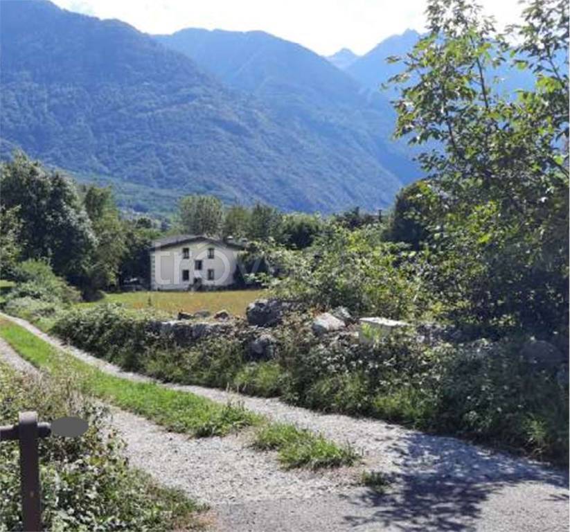 immagine annuncio 11 di 13