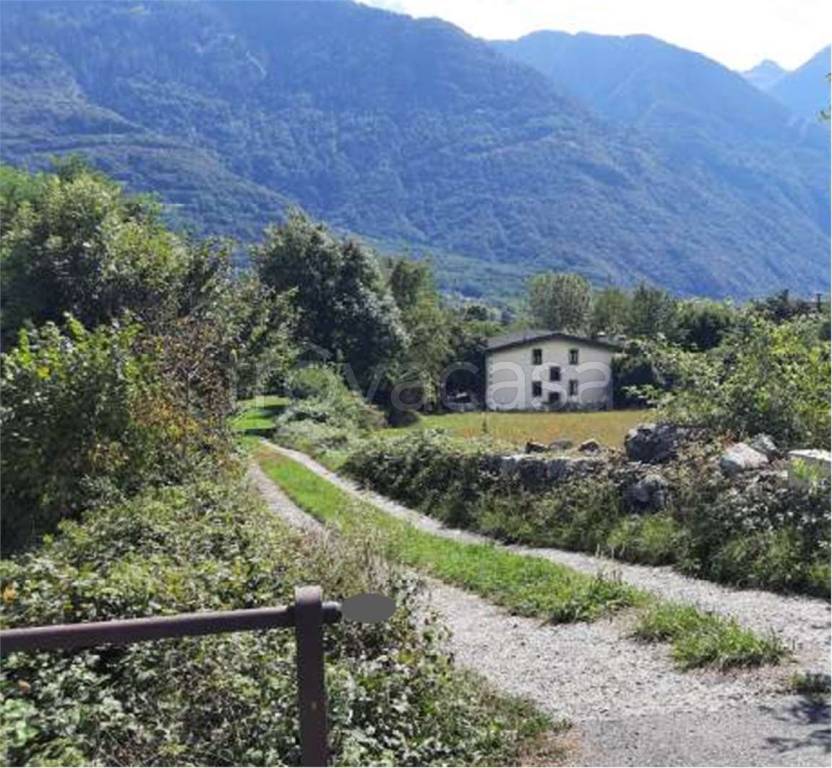 immagine annuncio 12 di 13