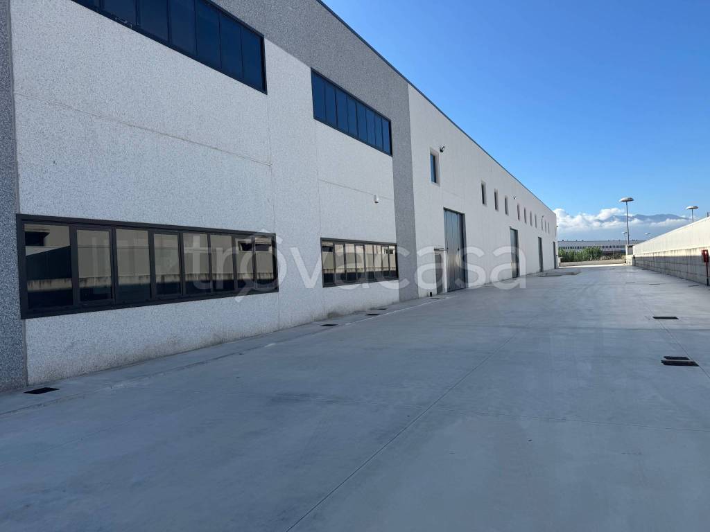 immagine annuncio 2 di 12