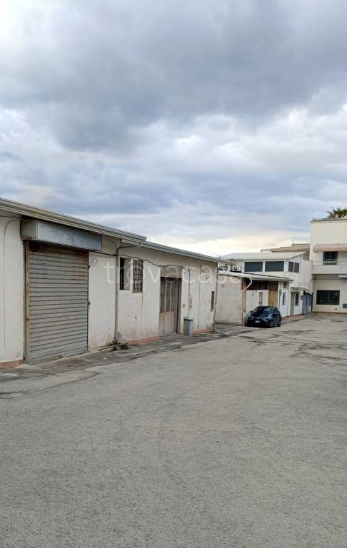 immagine annuncio 2 di 12