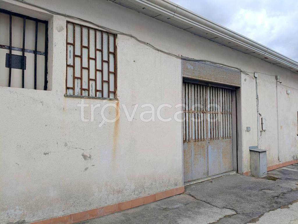 immagine annuncio 8 di 12