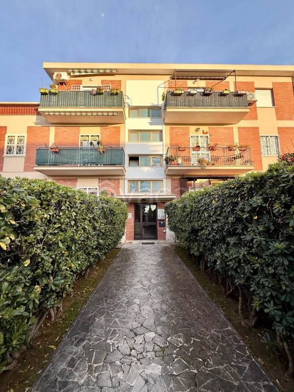 immagine annuncio 9 di 10