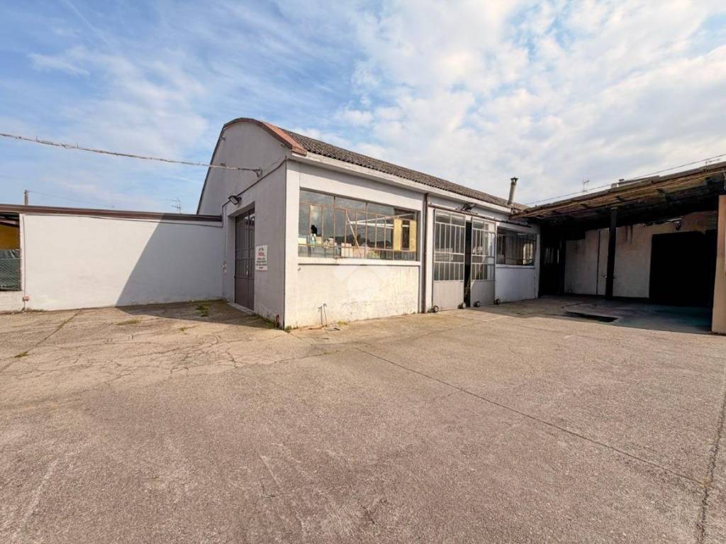 immagine annuncio 2 di 15