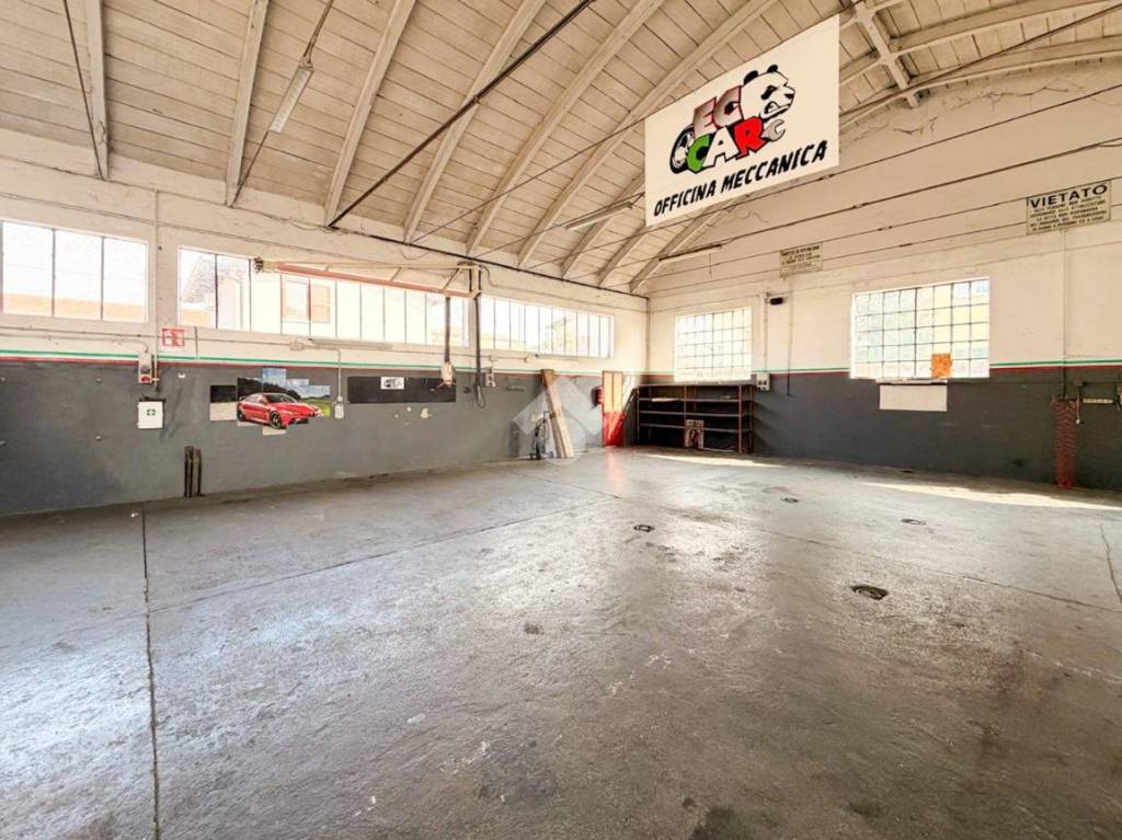 immagine annuncio 6 di 15