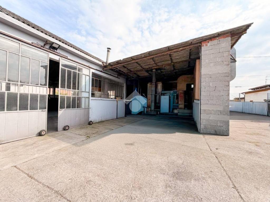 immagine annuncio 11 di 15