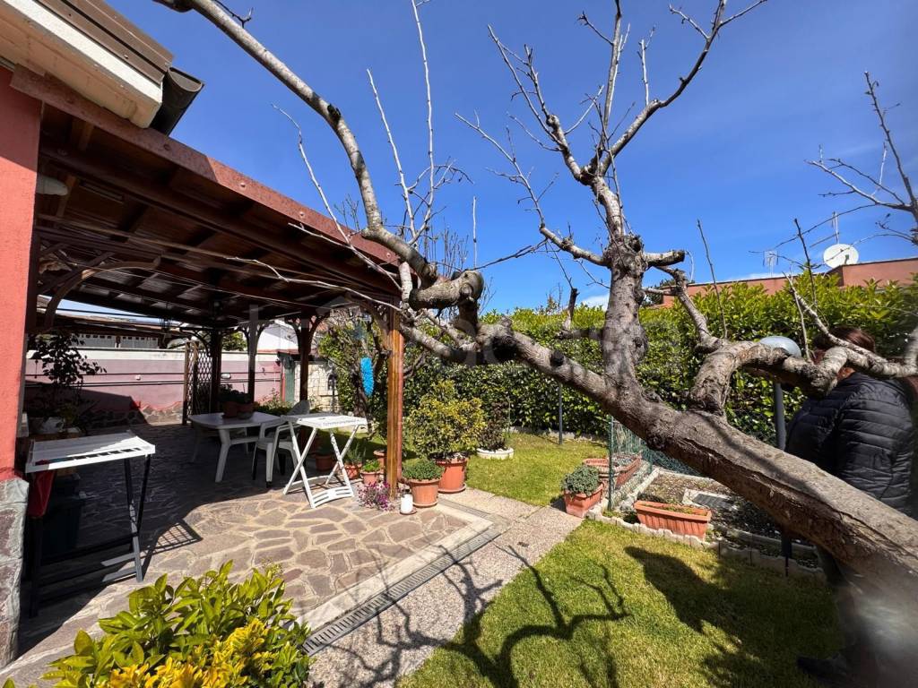 immagine annuncio 11 di 15