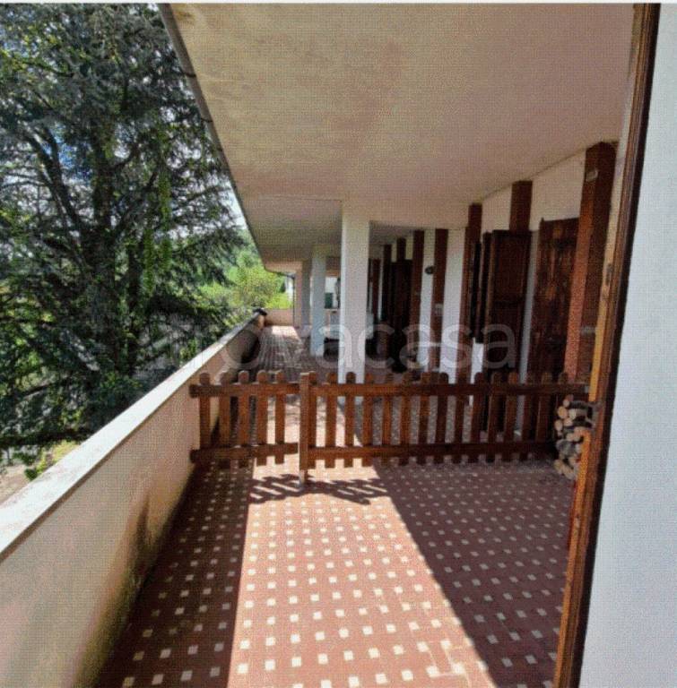 immagine annuncio 2 di 9